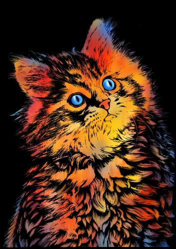 Скретч-картина "Cat" (Кошка)
