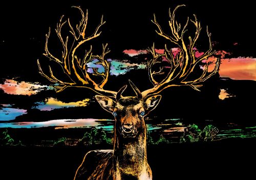 Скретч-картина "Deer" (Олень)