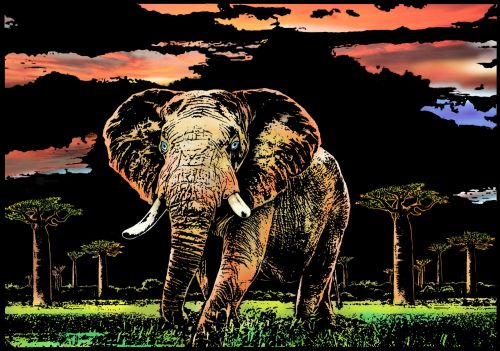 Скретч-картина "Elephant" (Слон)