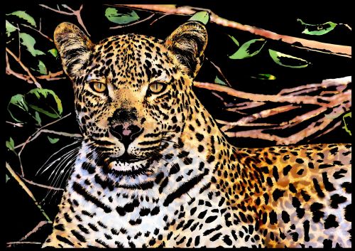 Скретч-картина "Leopard" (Леопард)