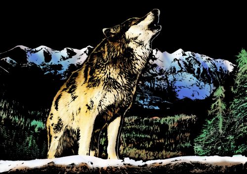 Скретч-картина "Wolf" (Волк)