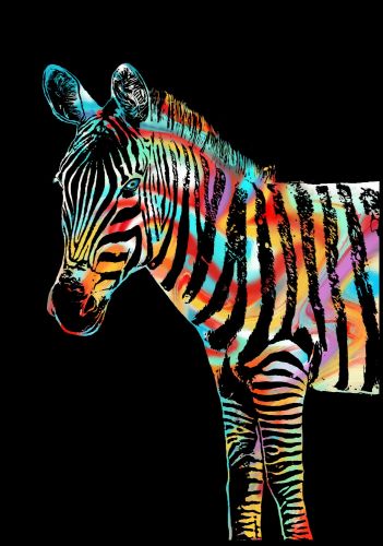 Скретч-картина "Zebra" (Зебра)